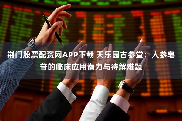 荆门股票配资网APP下载 天乐园古参堂：人参皂苷的临床应用潜力与待解难题