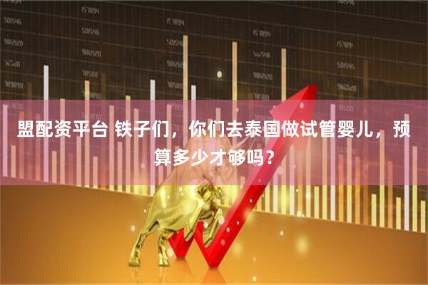 盟配资平台 铁子们，你们去泰国做试管婴儿，预算多少才够吗？