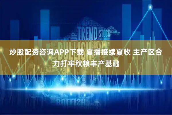 炒股配资咨询APP下载 夏播接续夏收 主产区合力打牢秋粮丰产基础